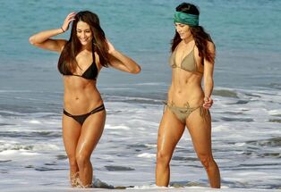 The Bella Twins wearing swimsuits